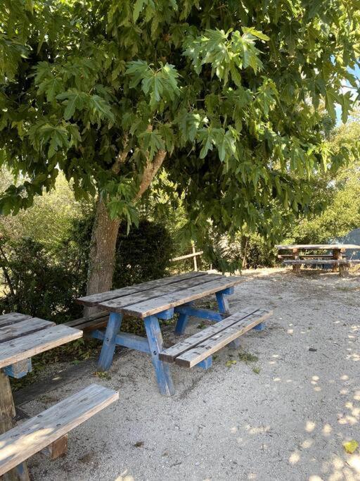 La O'Liso Gorges De L'Ardeche Villa Salavas Ngoại thất bức ảnh